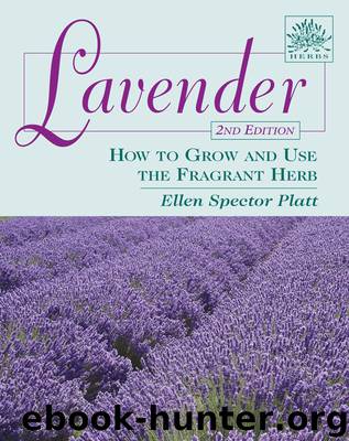 Lavender by Ellen Spector Platt