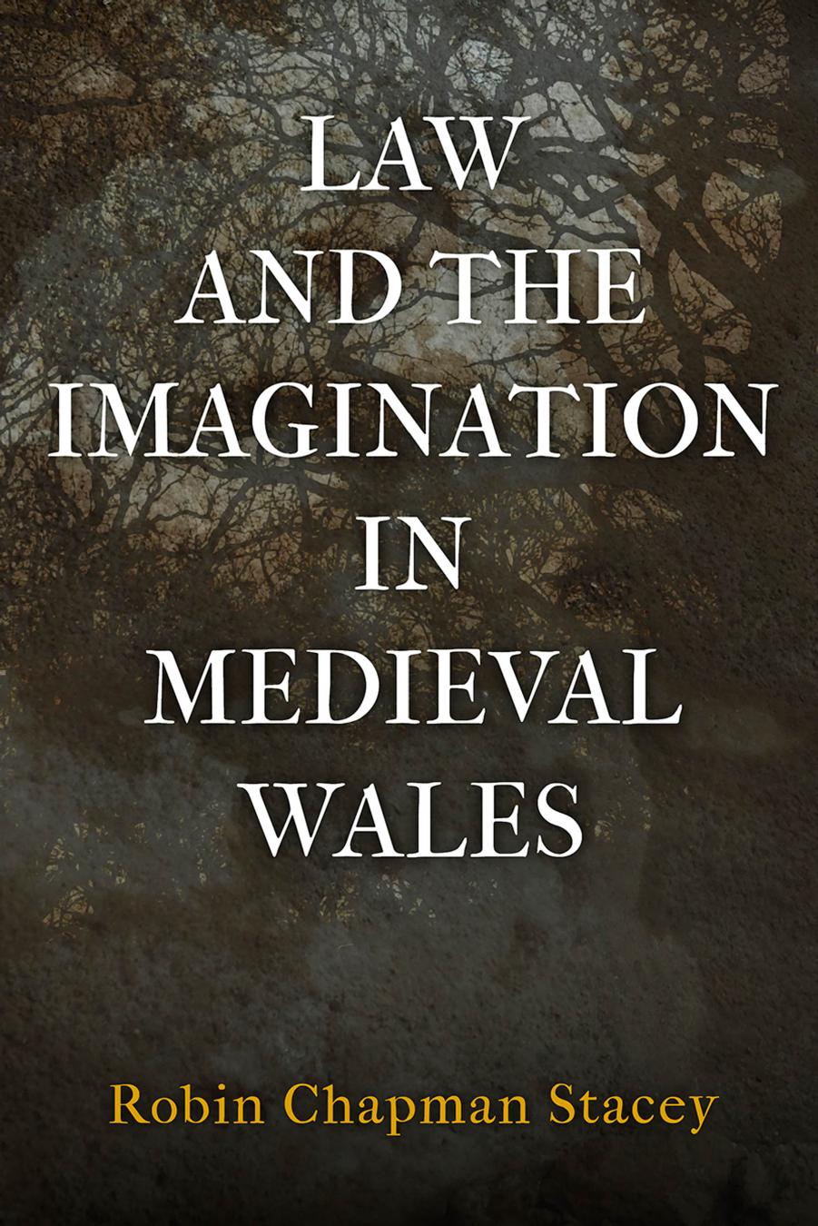 Law and the Imagination in Medieval Wales by Robin Stacey