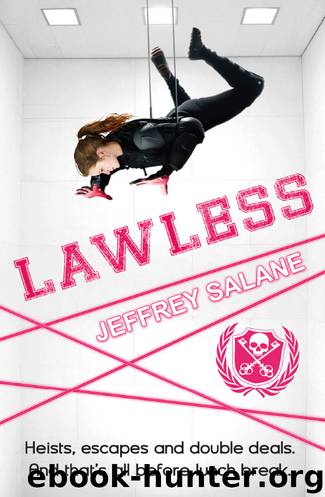 Lawless by Jeffrey Salane