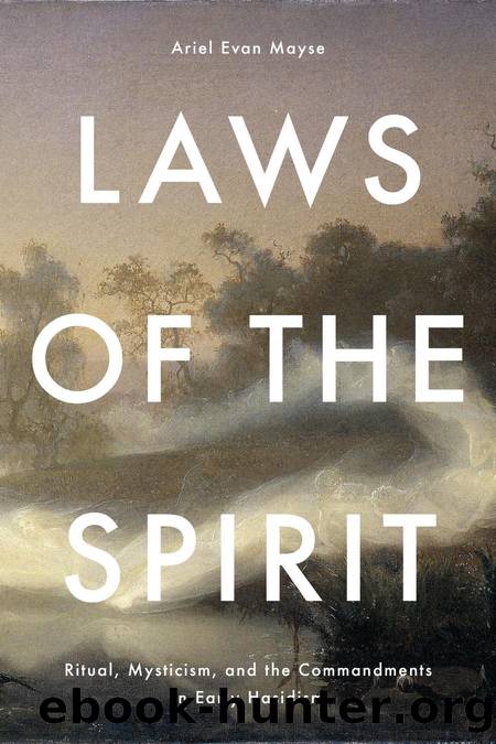 Laws of the Spirit by Ariel Evan Mayse