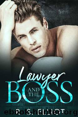 Lawyer and the BOSS (Billionaire's Obsession Book 2) by R. S. Elliot