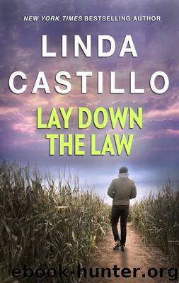 Lay Down the Law by Linda Castillo