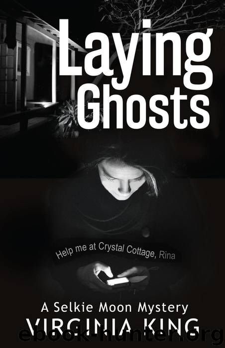 Laying Ghosts by Virginia King