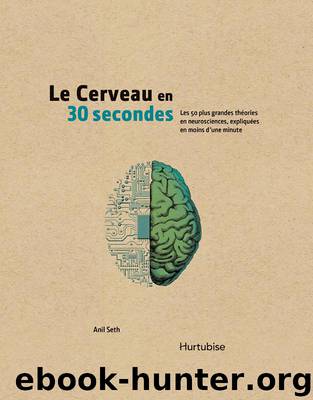 Le cerveau en 30 secondes by Anil Seth