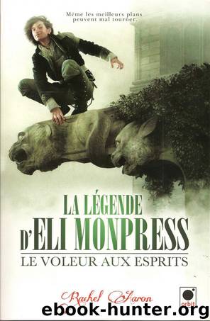 Le voleur aux esprits by Rachel Aaron