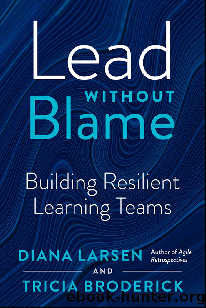Lead Without Blame by Diana Larsen