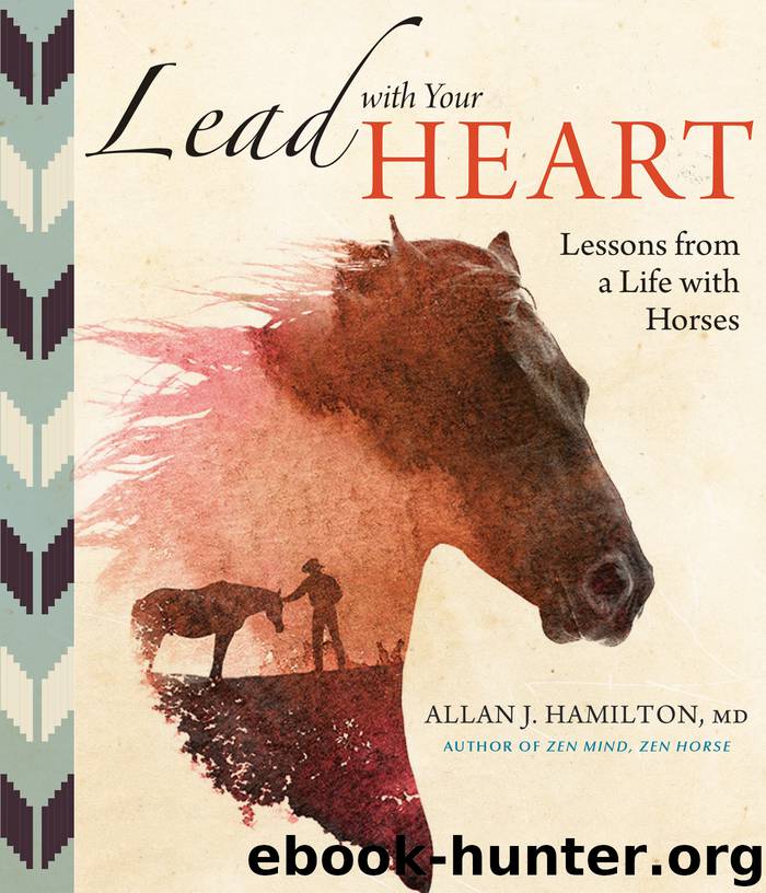 Lead with Your Heart . . . Lessons from a Life with Horses by Allan J. Hamilton;MD