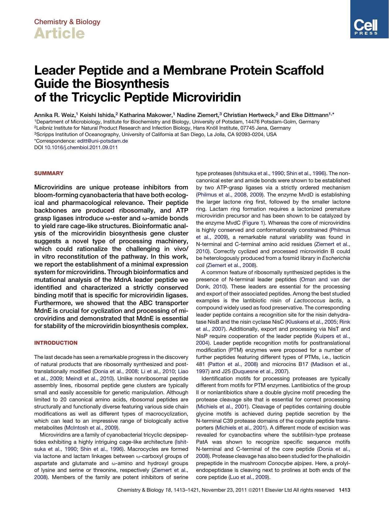 Leader Peptide and a Membrane Protein Scaffold Guide the Biosynthesis of the Tricyclic Peptide Microviridin by unknow
