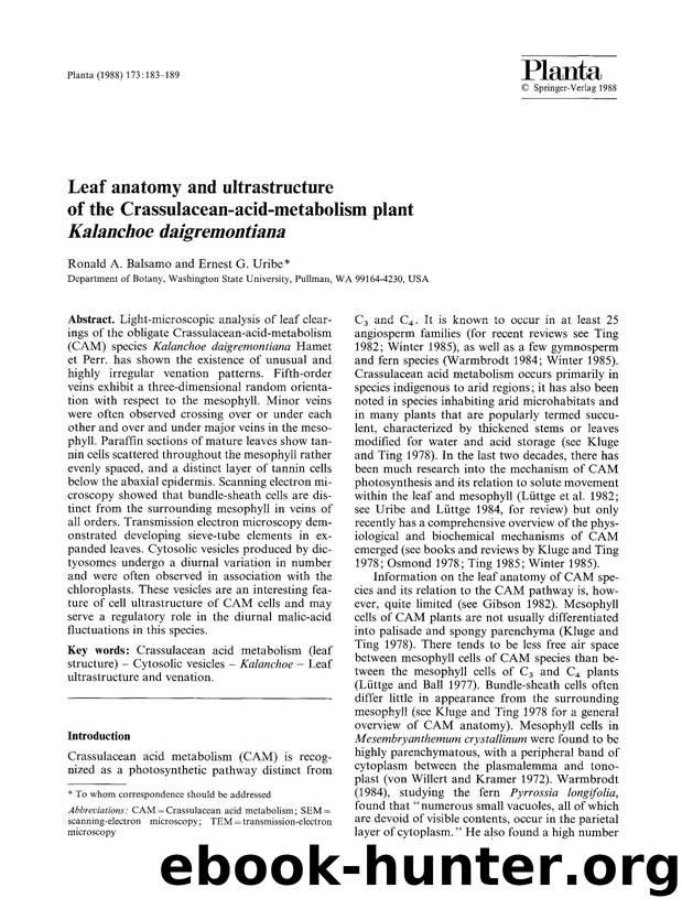 Leaf anatomy and ultrastructure of the Crassulacean-acid-metabolism plant <Emphasis Type="Italic">Kalanchoe daigremontiana<Emphasis> by Unknown