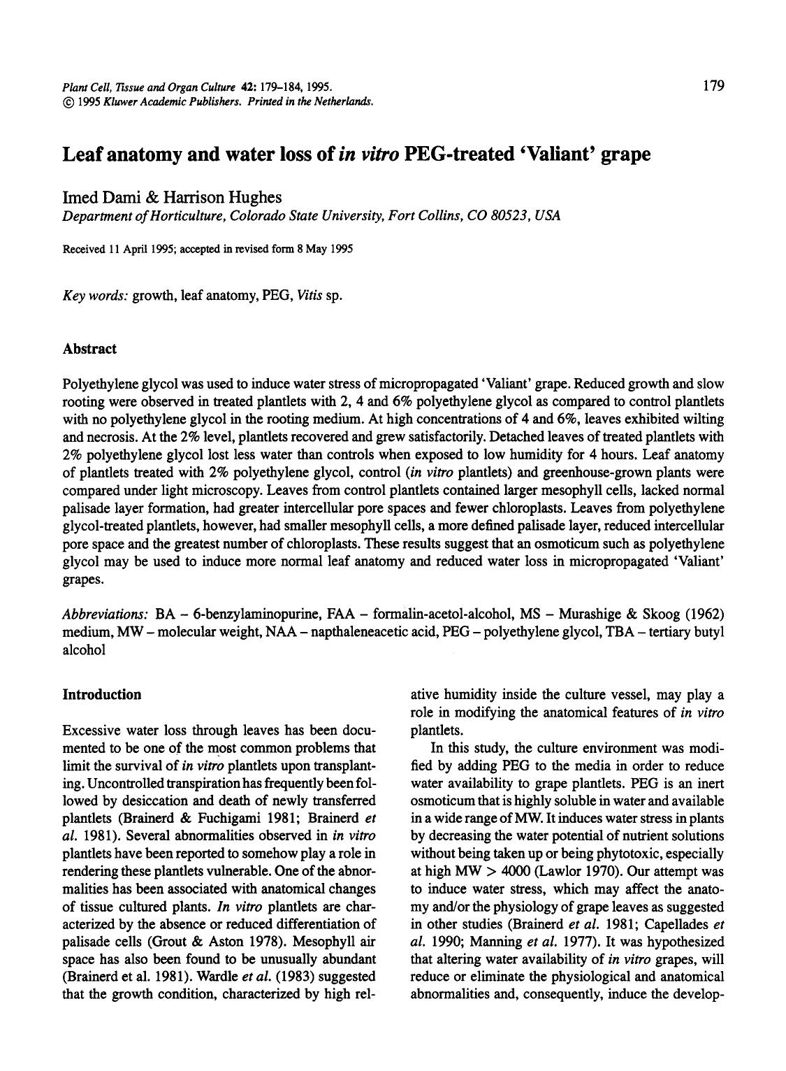 Leaf anatomy and water loss of <Emphasis Type="Italic">in vitro<Emphasis> PEG-treated &#x2018;Valiant&#x2019; grape by Unknown