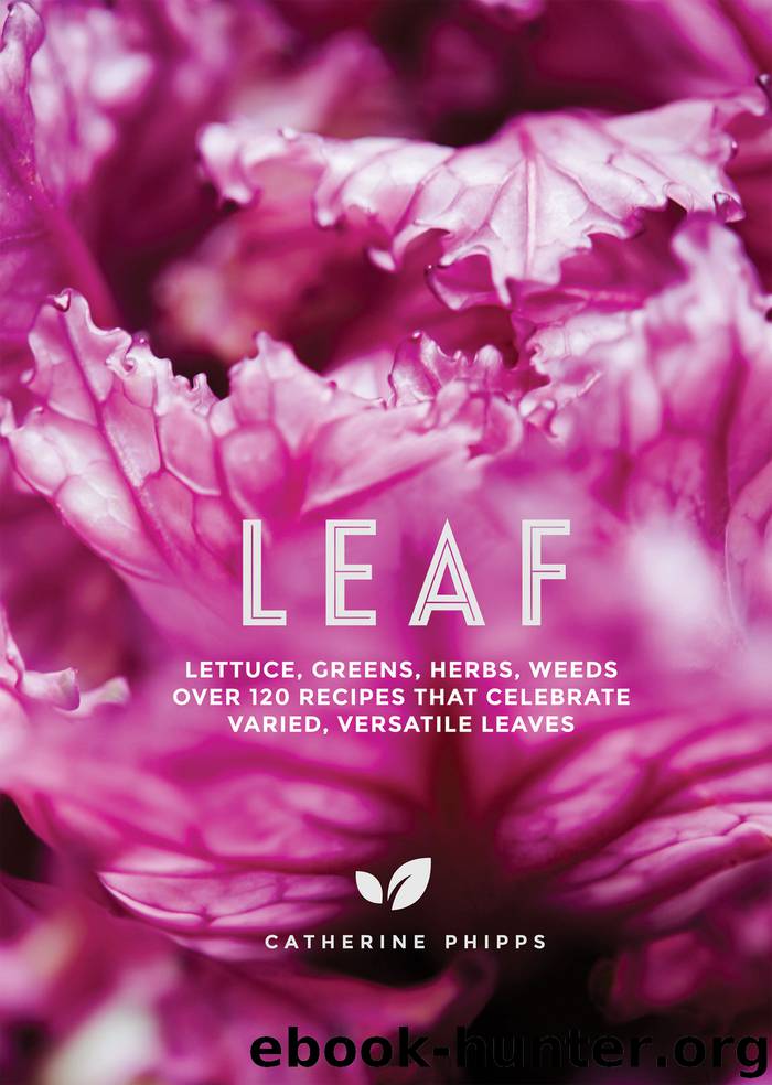 Leaf by Catherine Phipps