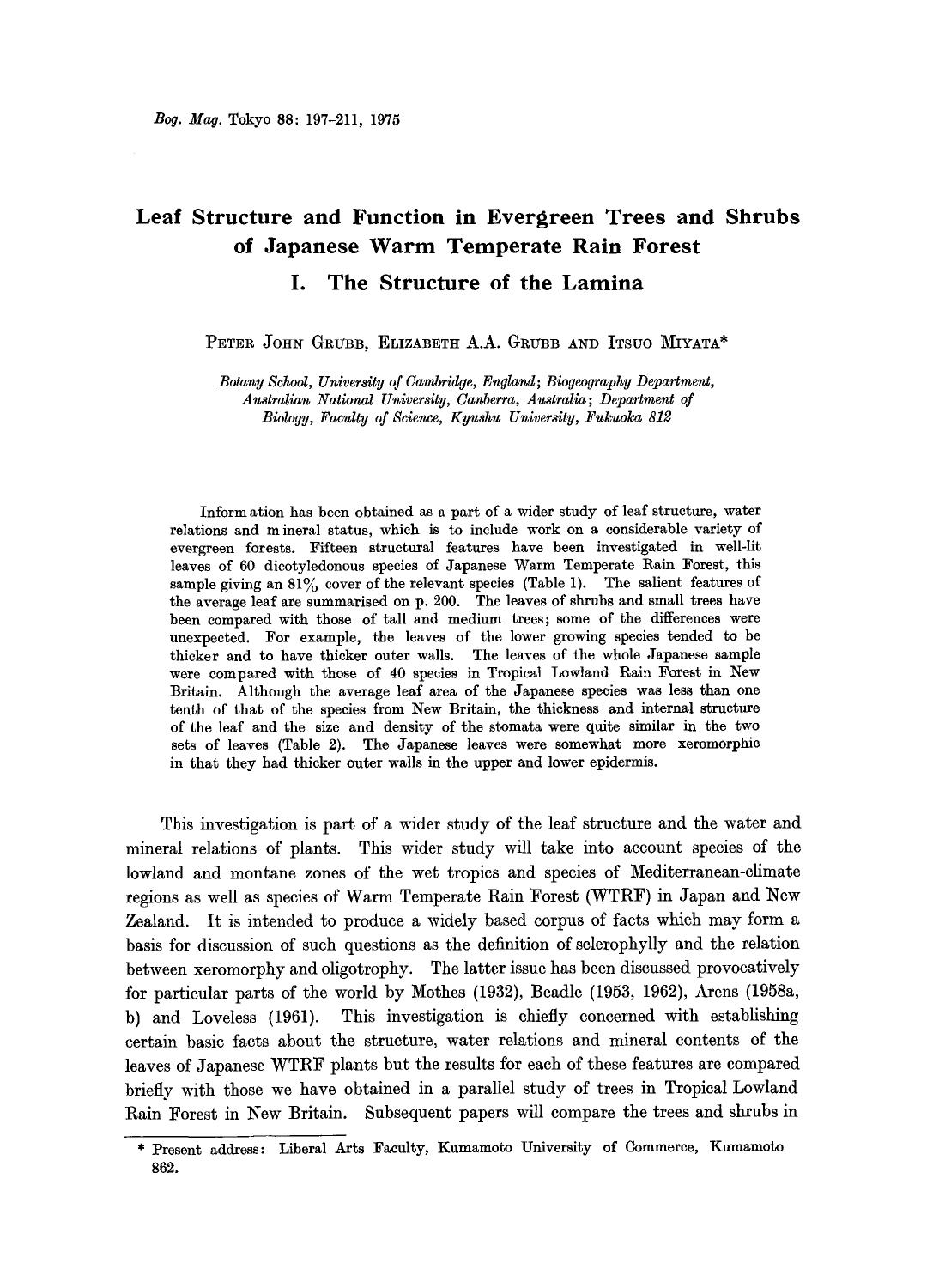 Leaf structure and function in evergreen trees and shrubs of Japanese warm temperate rain forest I. The structure of the lamina by Unknown