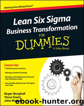 Lean Six Sigma Business Transformation for Dummies by Roger Burghall