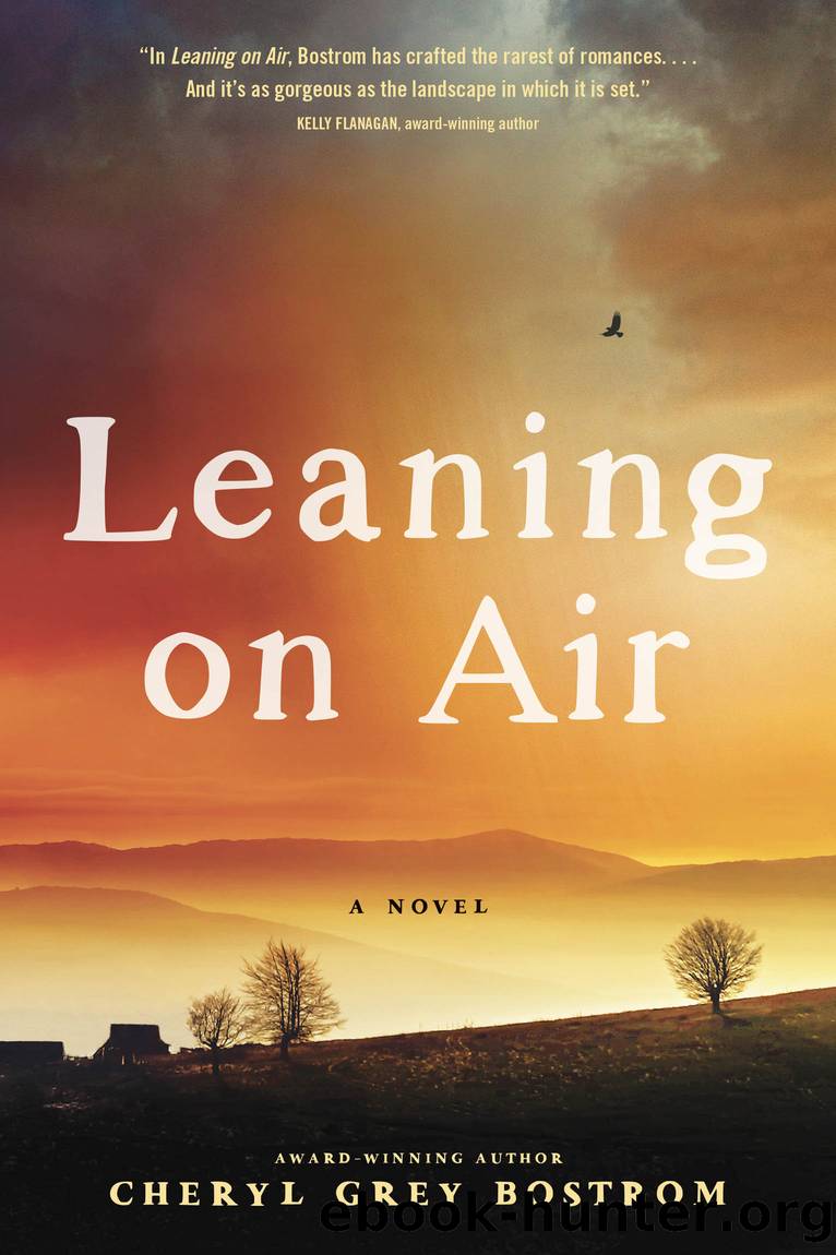 Leaning on Air by Cheryl Grey Bostrom