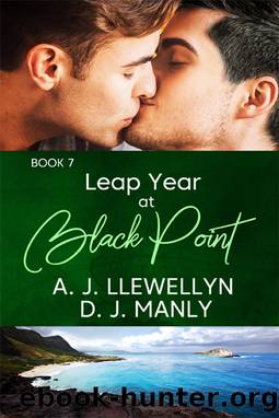 Leap Year At Black Point by A.J. Llewellyn & D.J. Manly