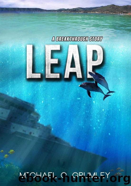 Leap by Michael Grumley