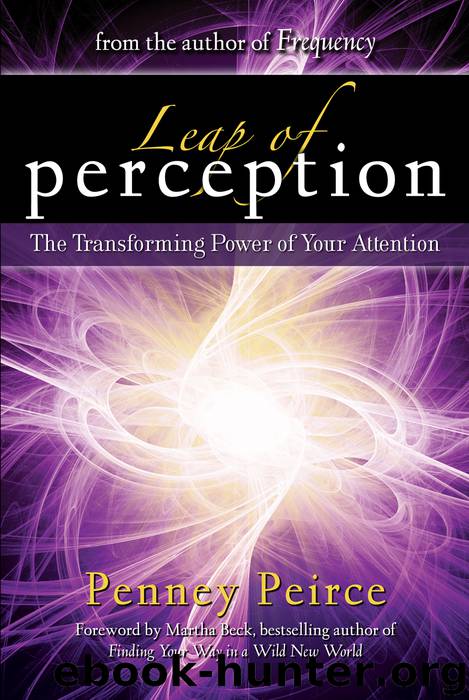 Leap of Perception by Penney Peirce