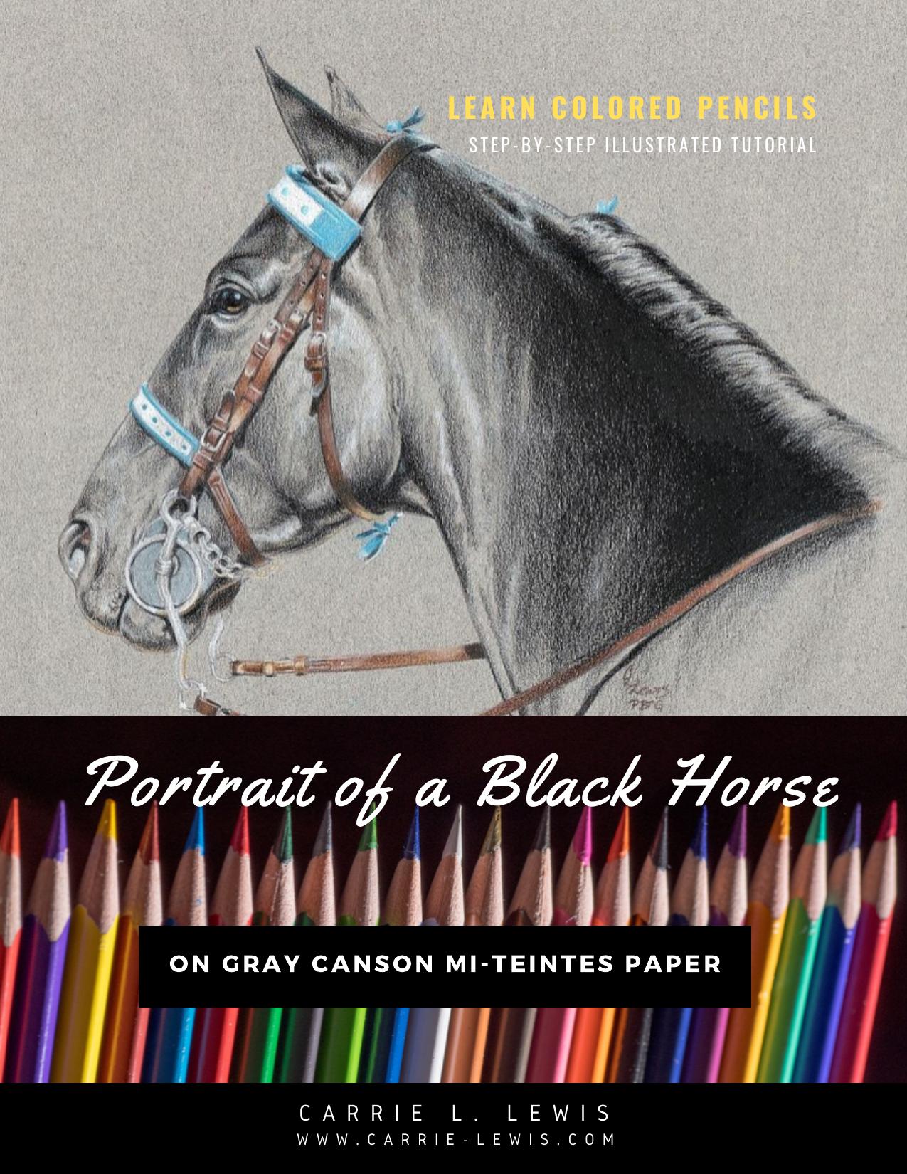 Learn Colored Pencils - Portrait of a Black Horse by Carrie Lewis