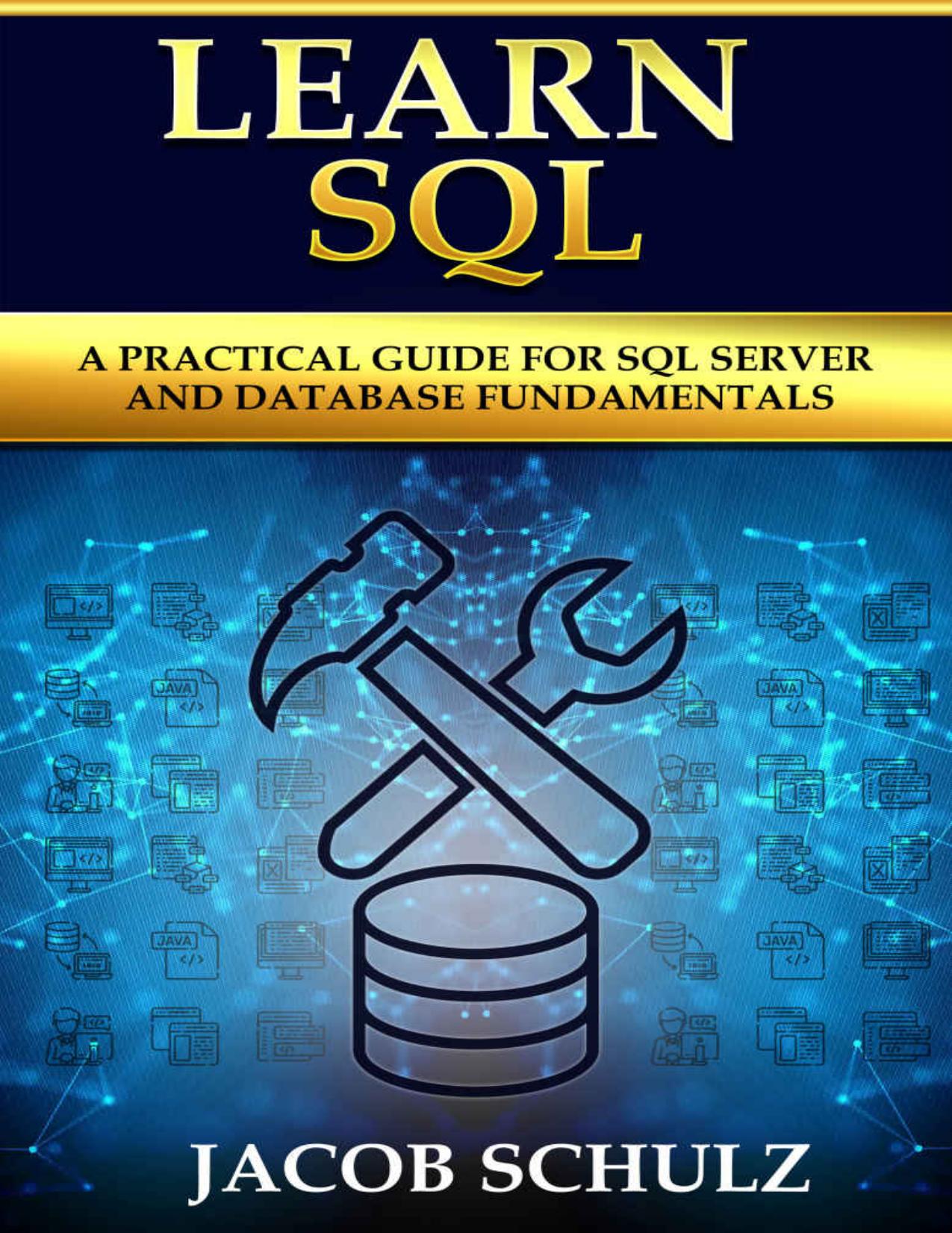 Learn SQL: A Practical Guide for SQL Server and Database Fundamentals by Jacob Schulz