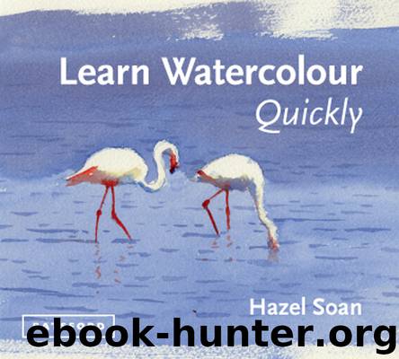 Learn Watercolour Quickly by Soan Hazel
