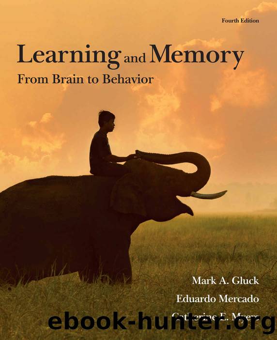 Learning and Memory: From Brain to Behavior by Mark A. Gluck & Eduardo Mercado & Catherine E. Myers