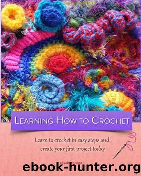 Learning how to crochet : Learn to crochet in easy steps and create your first project today: (Learn how to crochet,patterns) (Knitting,patchwork,crochet,patterns by Allison Keys Book 2) by elisabeth sanz
