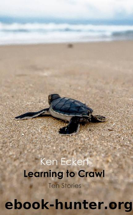 Learning to Crawl by Ken Eckert