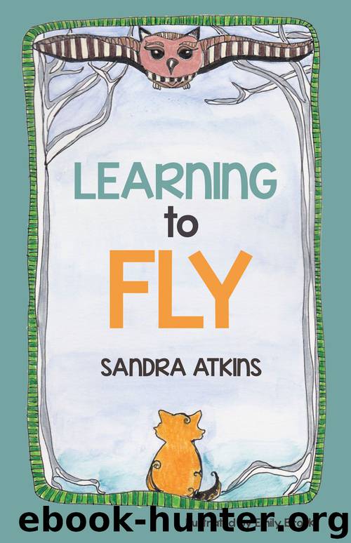 Learning to Fly by Sandra Atkins