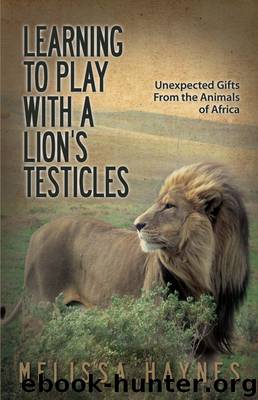 Learning to Play With a Lion's Testicles by Melissa Haynes