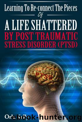 Learning to Re-connect the Pieces of a Life Shattered by PTSD by Orla Kelly