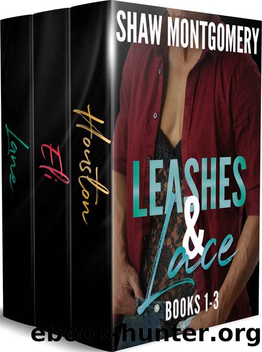Leashes & Lace Books 1-3: MM Romance Boxed Set by Shaw Montgomery