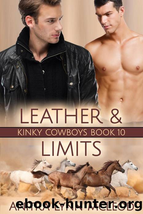Leather & Limits by Anitra Lynn McLeod