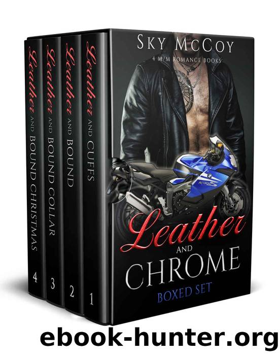 Leather and Chrome Boxed Set by Sky McCoy