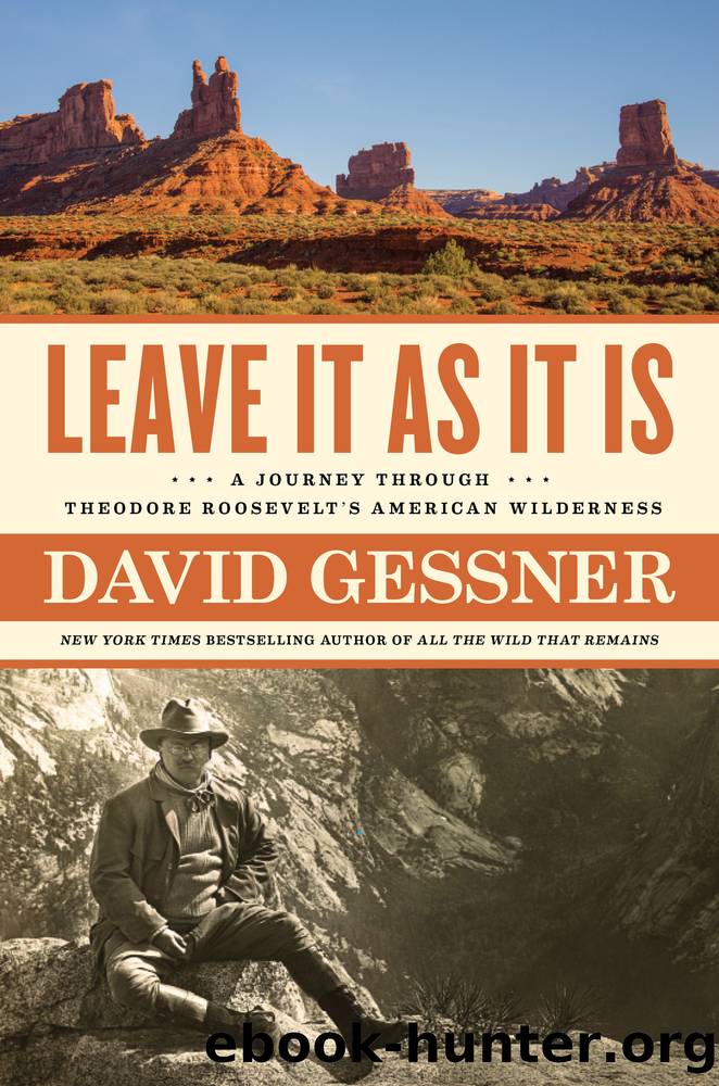 Leave It As It Is by David Gessner