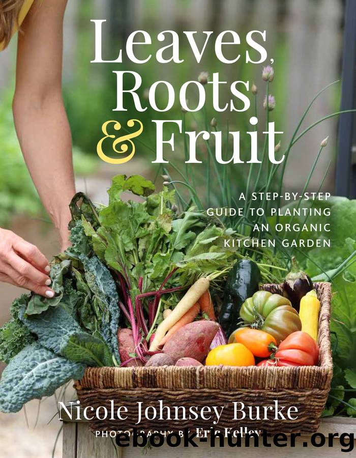 Leaves, Roots & Fruit by Nicole Johnsey Burke