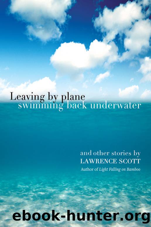 Leaving by Plane Swimming back Underwater by Lawrence Scott