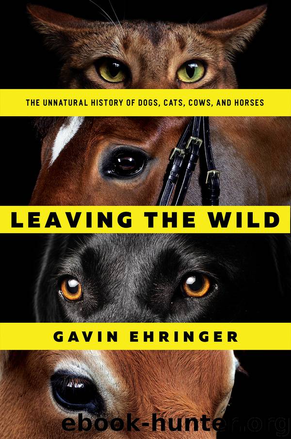 Leaving the Wild by Gavin Ehringer