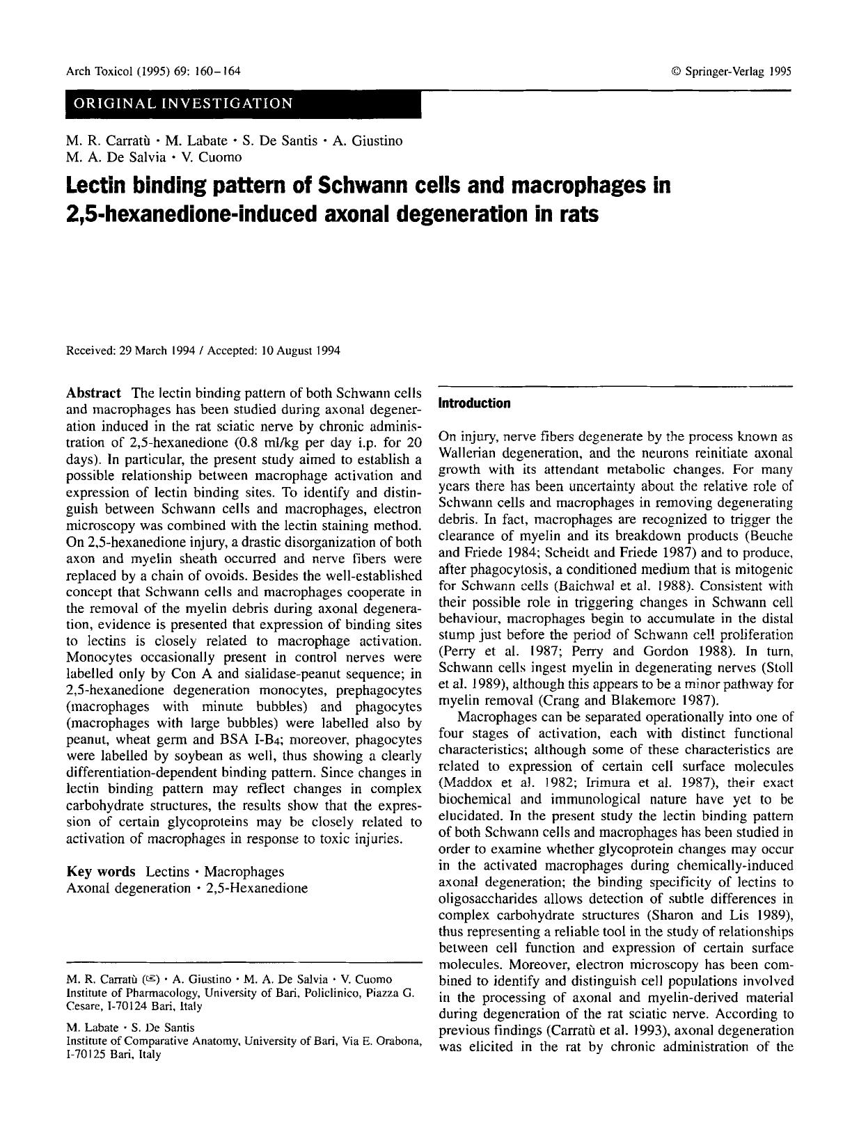 Lectin binding pattern of schwann cells and macrophages in 2,5-hexanedione-induced axonal degeneration in rats by Unknown