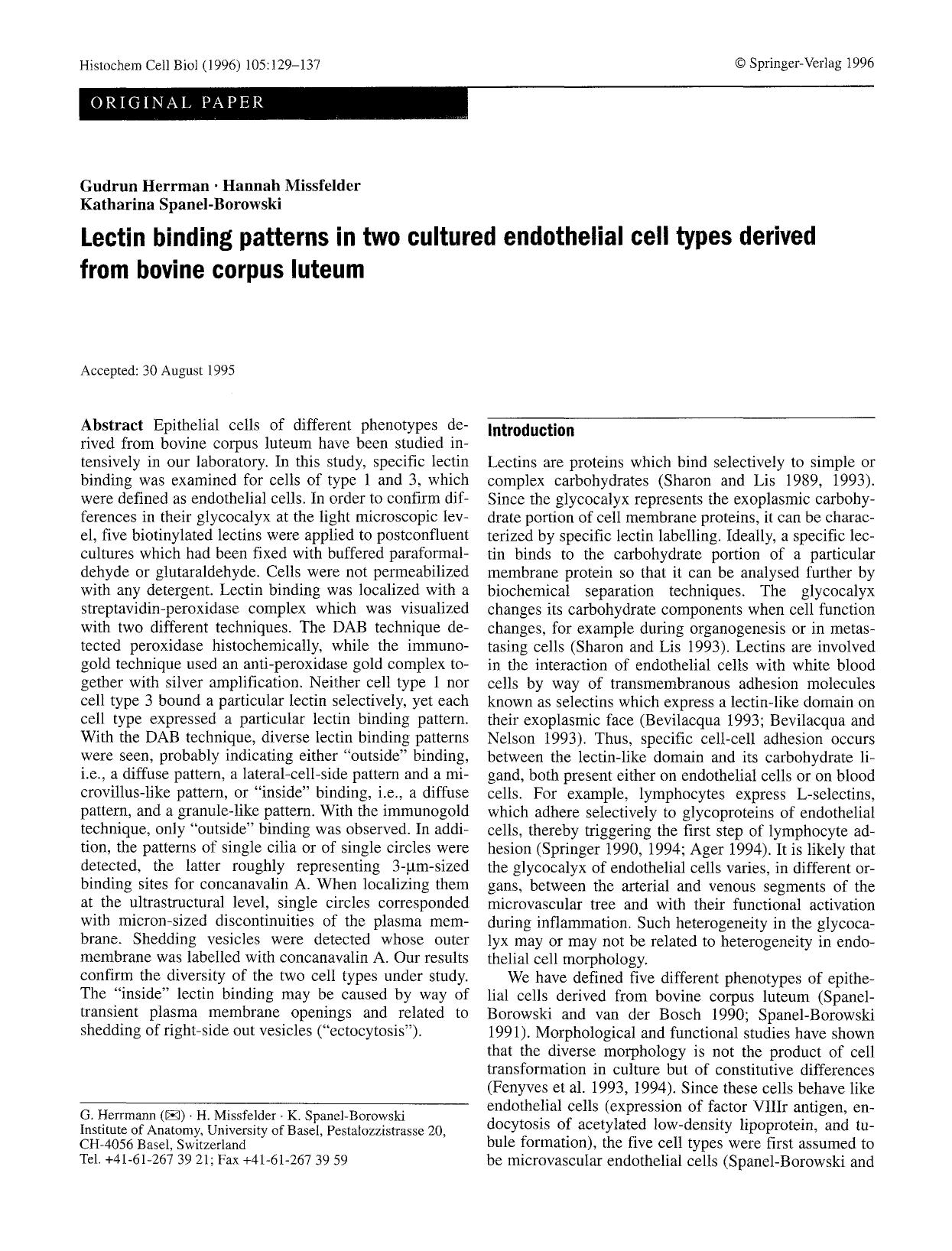 Lectin binding patterns in two cultured endothelial cell types derived from bovine corpus luteum by Unknown