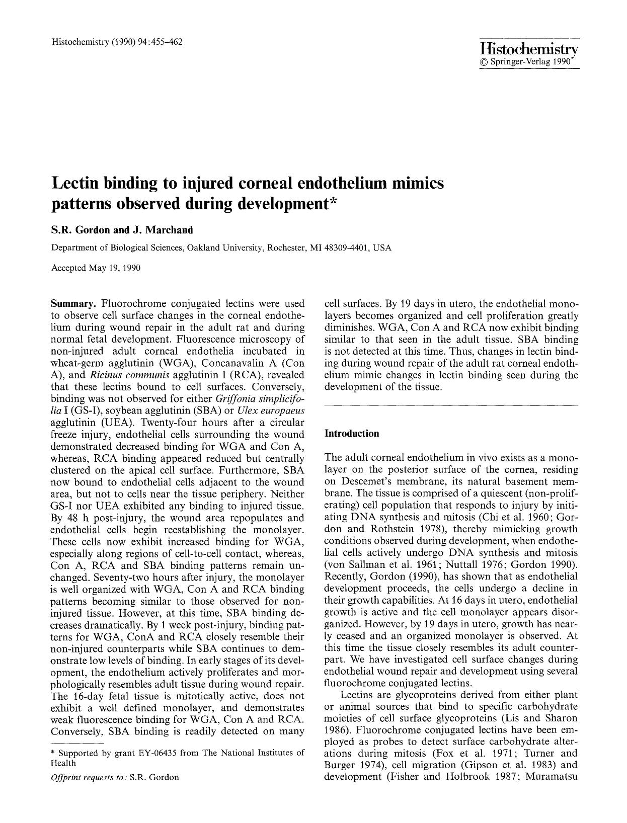 Lectin binding to injured corneal endothelium mimics patterns observed during development by Unknown