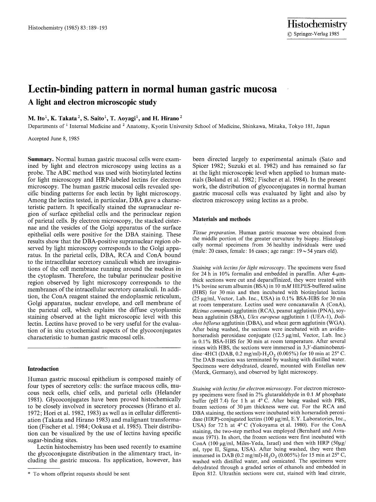 Lectin-binding pattern in normal human gastric mucosa by Unknown