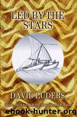 Led By The Stars by David Luders