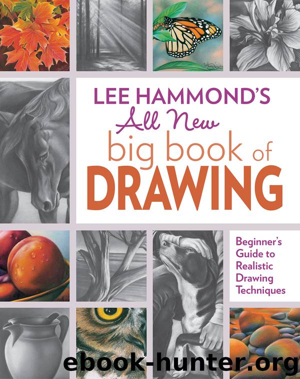 Lee Hammond's All New Big Book of Drawing by Lee Hammond