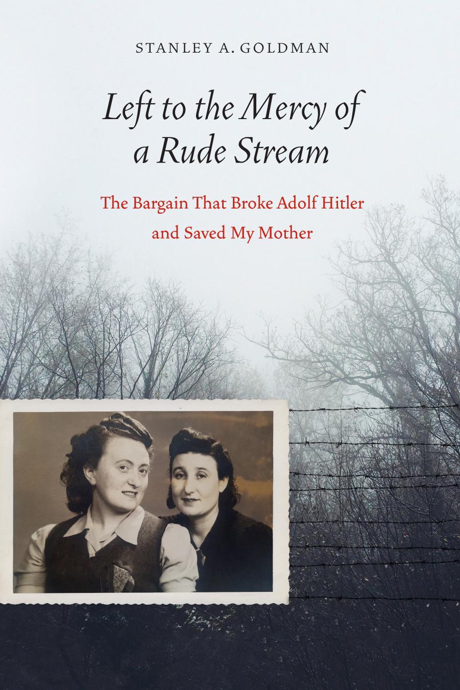Left to the Mercy of a Rude Stream: The Bargain That Broke Adolf Hitler and Saved My Mother by Stanley A. Goldman
