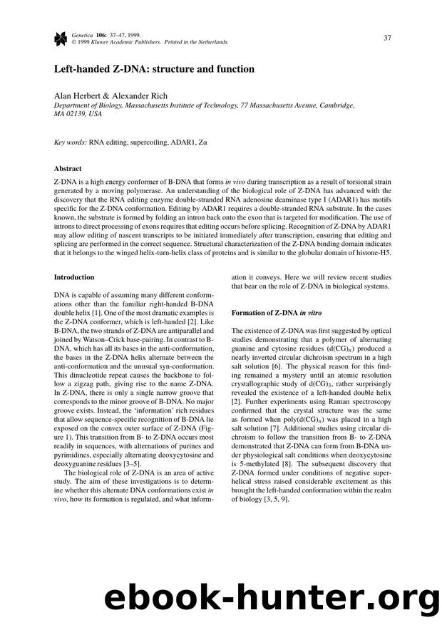 Left‐handed Z‐DNA: structure and function by Unknown