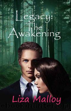 Legacy: The Awakening by Liza Malloy