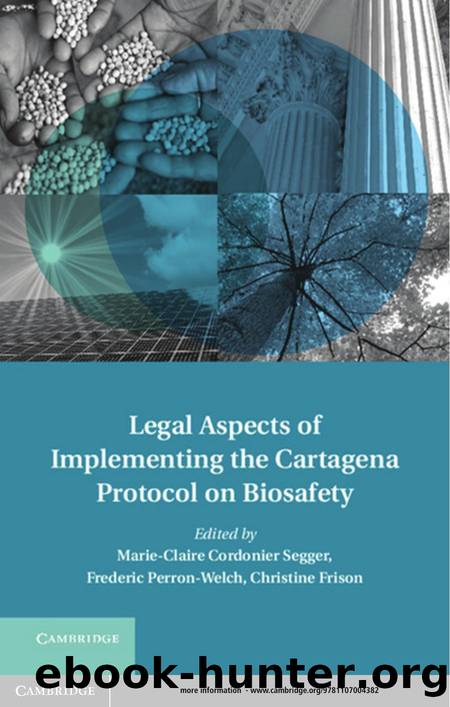 Legal Aspects of Implementing the Cartagena Protocol on Biosafety by Marie-Claire Cordonier Segger; Frederic Perron-Welch; Christine Frison