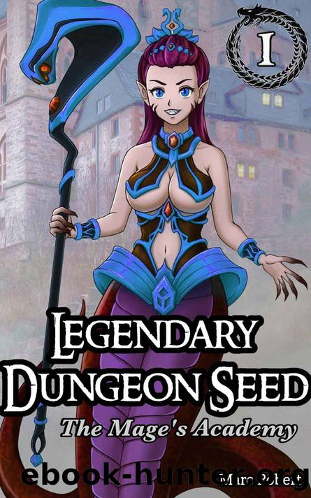 Legendary Dungeon Seed: The Mage's Academy (Vol. 1) by Marc Robert