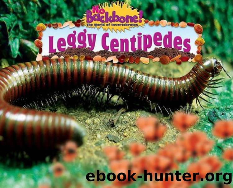 Leggy Centipedes (No Backbone! the World of Invertebrates) by Unknown