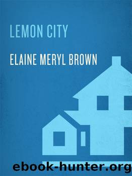 Lemon City by Elaine Meryl Brown